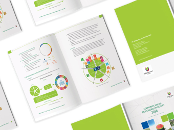 Sustainability-Report-Bhimasena-Power-20172