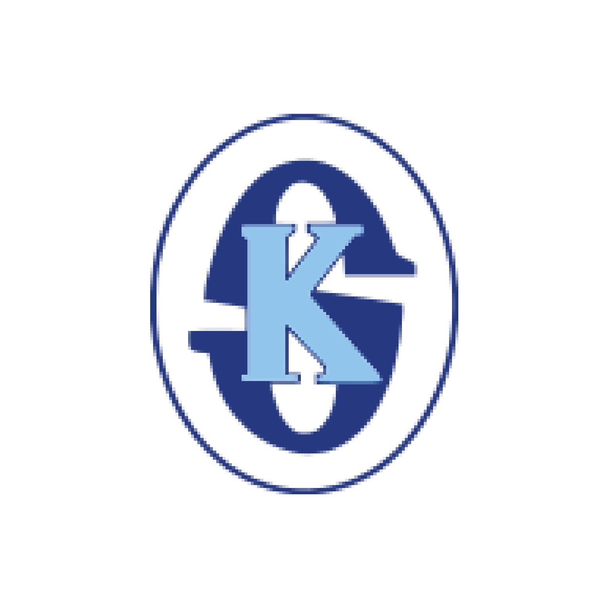 PT KDSI Logo