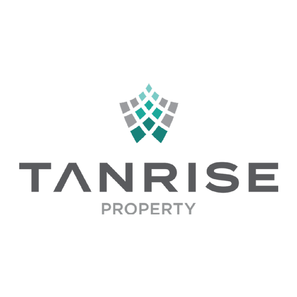 Tanrise Logo